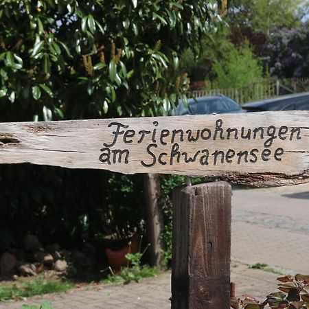 Ferienwohnungen Am Schwanensee Plön المظهر الخارجي الصورة