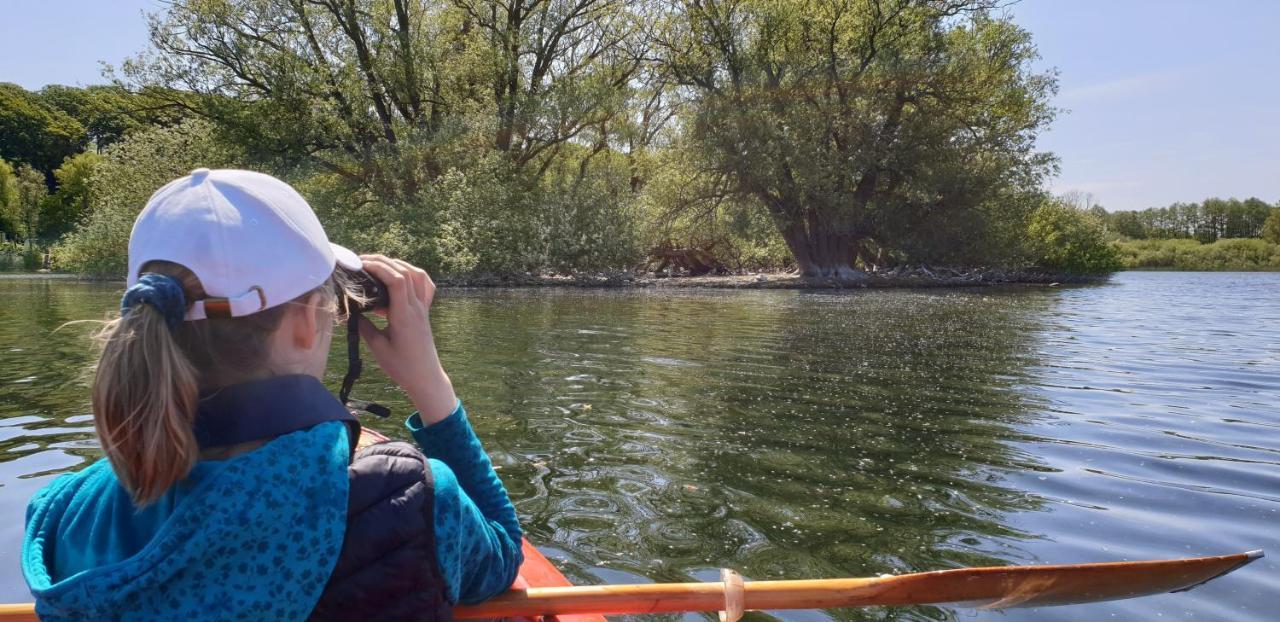 Ferienwohnungen Am Schwanensee Plön المظهر الخارجي الصورة