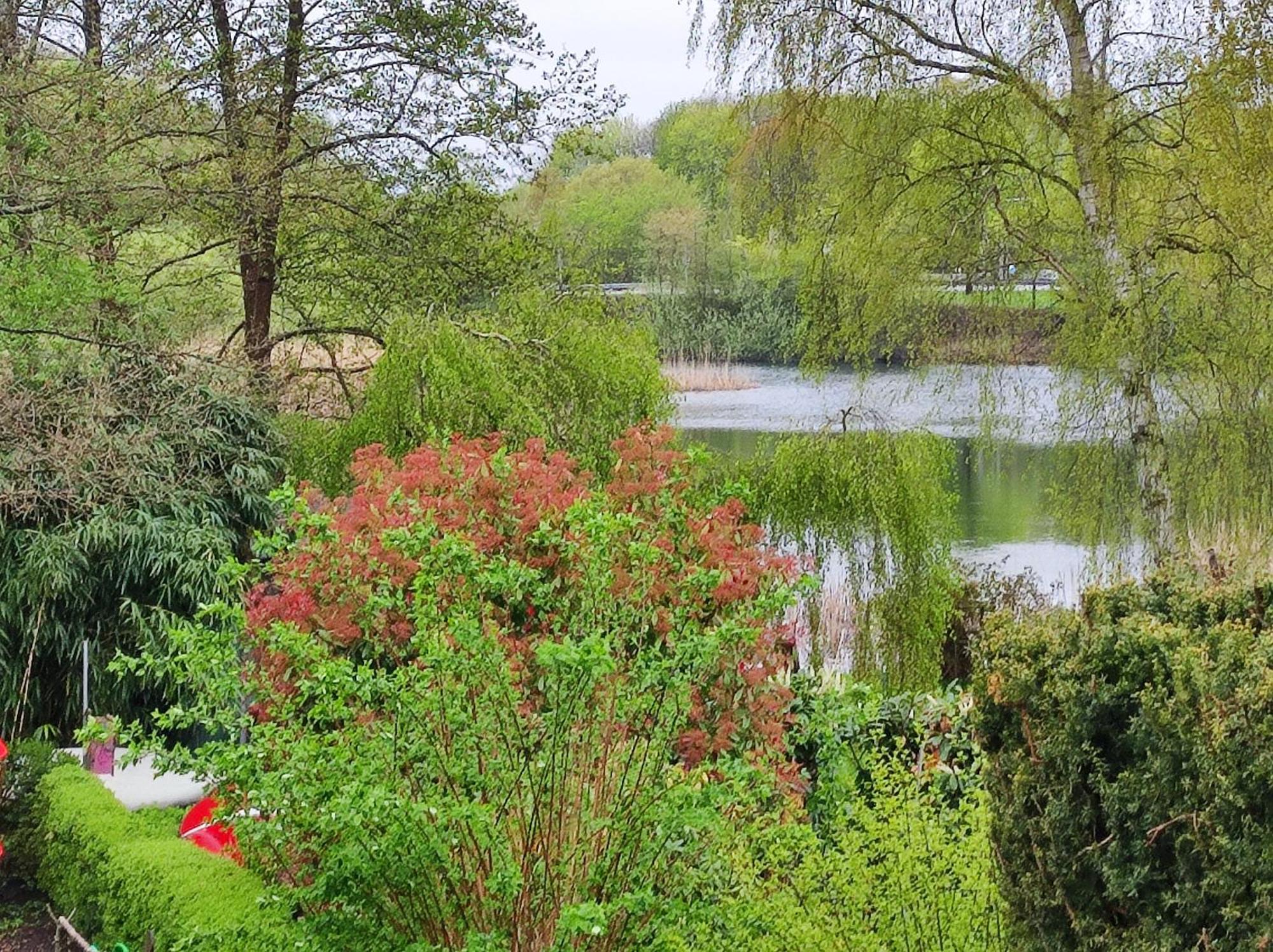 Ferienwohnungen Am Schwanensee Plön المظهر الخارجي الصورة